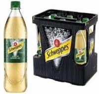 Schweppes Ginger Ale 6 x 1l Pet