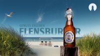 Flensbuger Pils 20 x 0,33l Glas